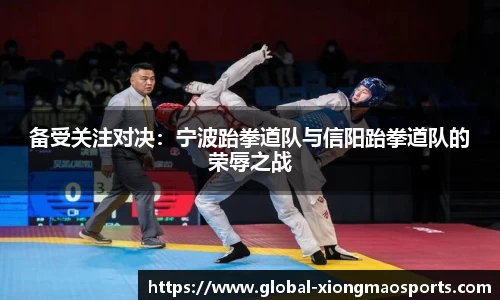 备受关注对决：宁波跆拳道队与信阳跆拳道队的荣辱之战